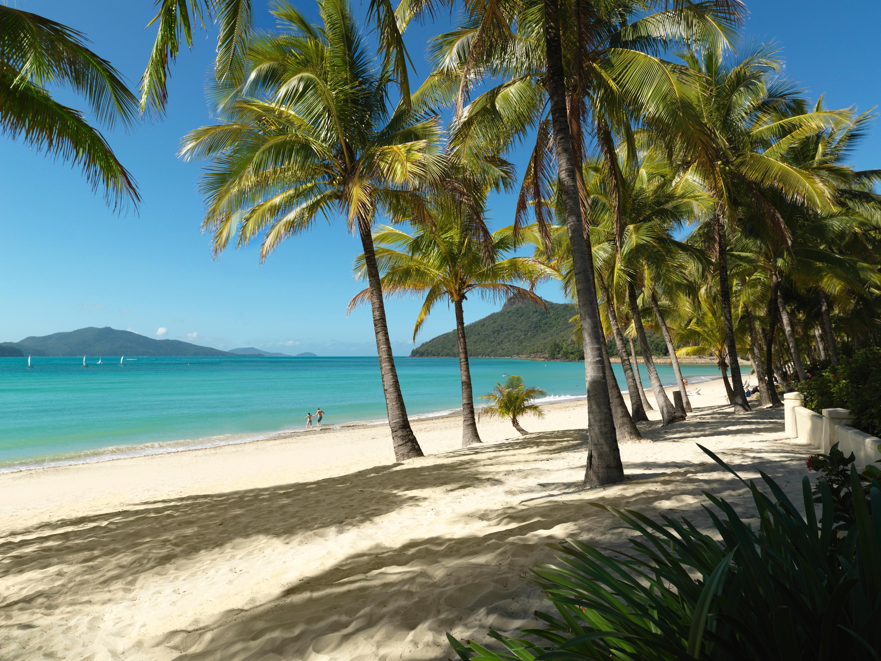 Reef View Hotel Isla Hamilton Exterior foto