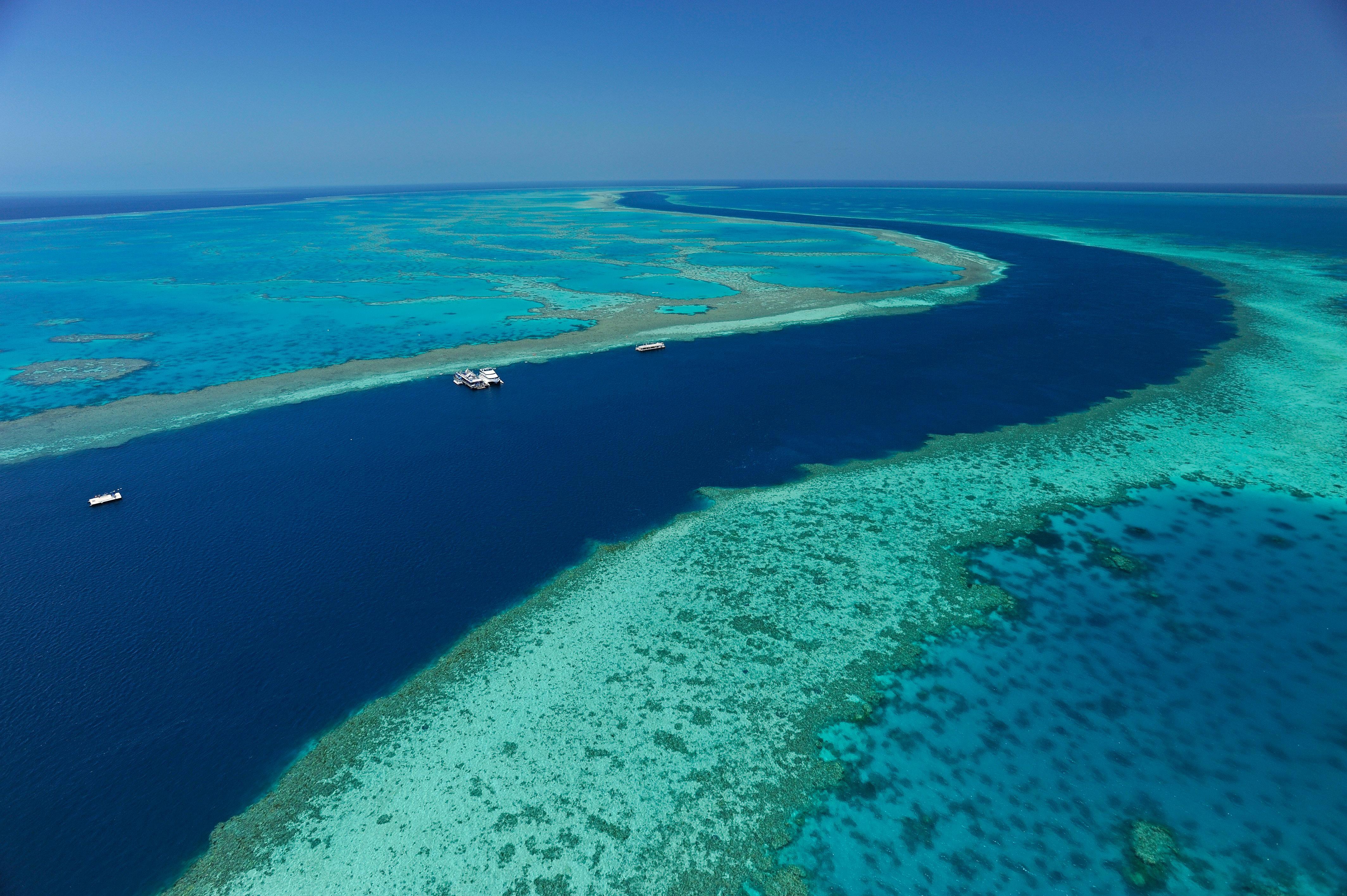 Reef View Hotel Isla Hamilton Exterior foto